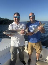 Awesome Awesome Awesome 