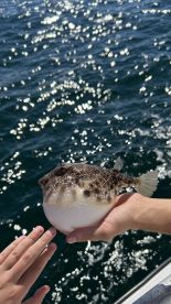 Father\/son fishing trip