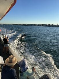 Father\/son fishing trip