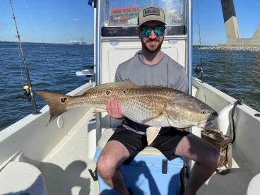 10/10 Would Reccommend 