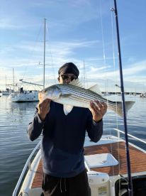 Very trusted captain 