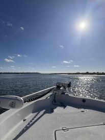 Friendly & knowledgeable!