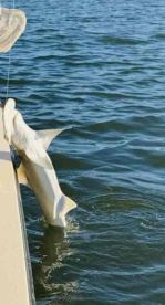 great time for the family