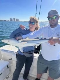 First Shark!