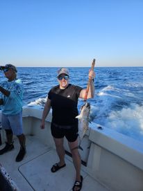 WOW! Tip to tail fish and Sharks!