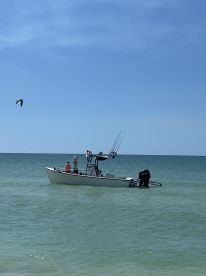 Wow! Talk about hitting all expectations!