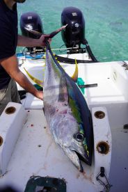 Meilleure excursion du s\u00e9jour 