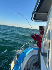 Five Stars for Claudio