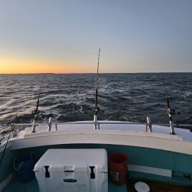 Captain Chris and crew were professional and attentive to our party.