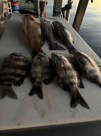 Fun evening on the water