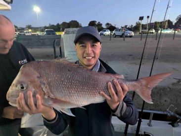 \u2b50\ufe0f\u2b50\ufe0f\u2b50\ufe0f\u2b50\ufe0f\u2b50\ufe0f Highly Recommended!