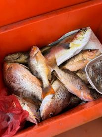 Our best fishing trip!