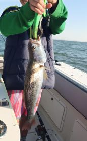 Fun, Sun, and Fishing: A Family Day on the Tagus River
