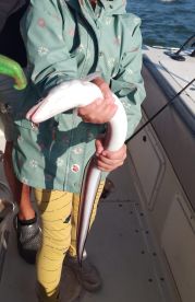 Fun, Sun, and Fishing: A Family Day on the Tagus River