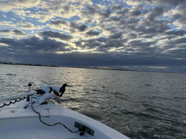 Rough day after a big storm!!