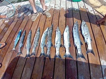 Fun, friendly, lots of fish 