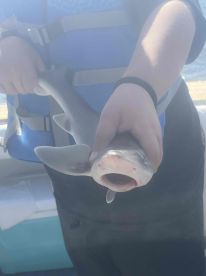 Had a nice late season trip today with my son and i. 