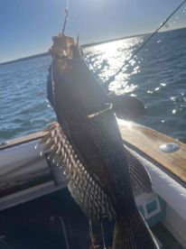 Had a nice late season trip today with my son and i. 