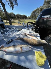 Great day in the water