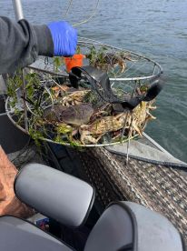 Awesome Fishing Day!