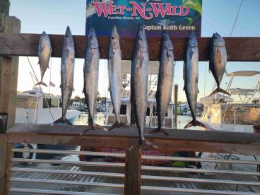 awesome trip.   this was our second trip with wet n wild and there will be many more.   we have alread boooked our next year