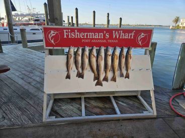 Good Saturday PM Catch