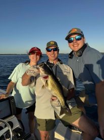 Perfect Day on Toho!