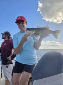 Perfect Day on Toho!