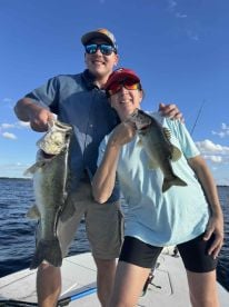 Perfect Day on Toho!