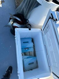 Good day out fishing, took home 10 fishes (2 each per person)