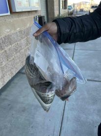 Good day out fishing, took home 10 fishes (2 each per person)