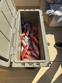 We loved our day with Georgia Coast Charters