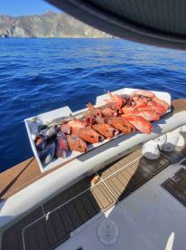 Great day on the water.