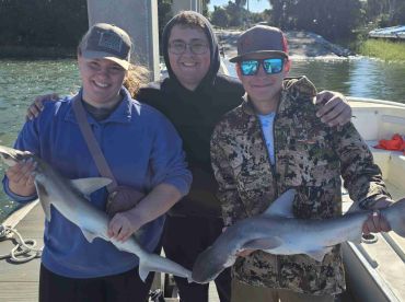 Go Crab and Shark Fishing