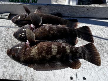 Pretty great weather and company