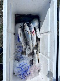 Great Trip! Thanks Captain Tim! 