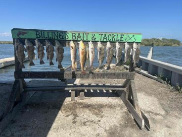 Great Day With Captain Ty!