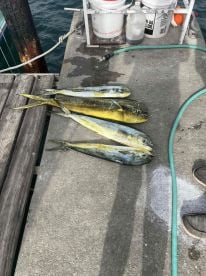 Rock & Roll with Papa Smurf