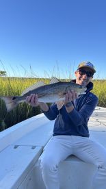 Excellent experience 