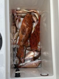 Excellent family trip