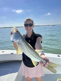 Red Fish, snook, ladyfish and mackerel 