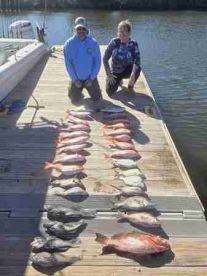 100% highly recommended