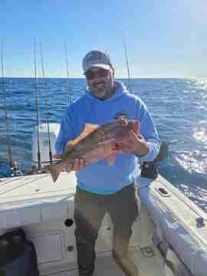 100% highly recommended