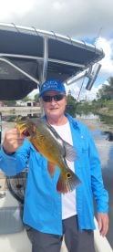 Southwest Florida Peacock Bass