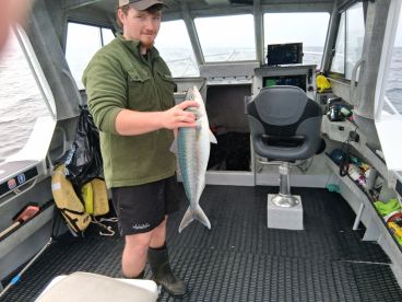 Snapperville Pulls Up Big Catch