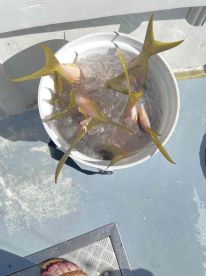 a nice trip offshore