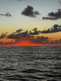 Not your average fishing trip!