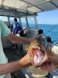 Outstanding Fishing Charter – Highly Recommend