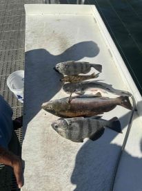 Great Time with Captian Ray