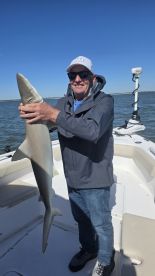 New respect for those sharks!